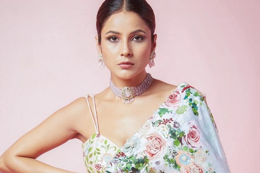 প্রেমের চর্চার মধ্যে সলমনকে নিয়ে মুখ খুলে সকলকে চমকে দিয়েছেন শেহনাজ৷ তিনি জানিয়েছেন, 'একসময়ে তাঁকে বাঁচার অনুপ্রেরণা জুগিয়েছিলেন সলমন খান৷ শুধু তাই নয়, তাঁর হাতও শক্ত করে ধরেছিলেন ভাইজান'৷