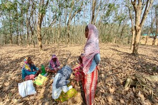 ত্রিপুরায় নজরে ওরাও!