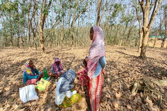 ত্রিপুরায় নজরে ওরাও!