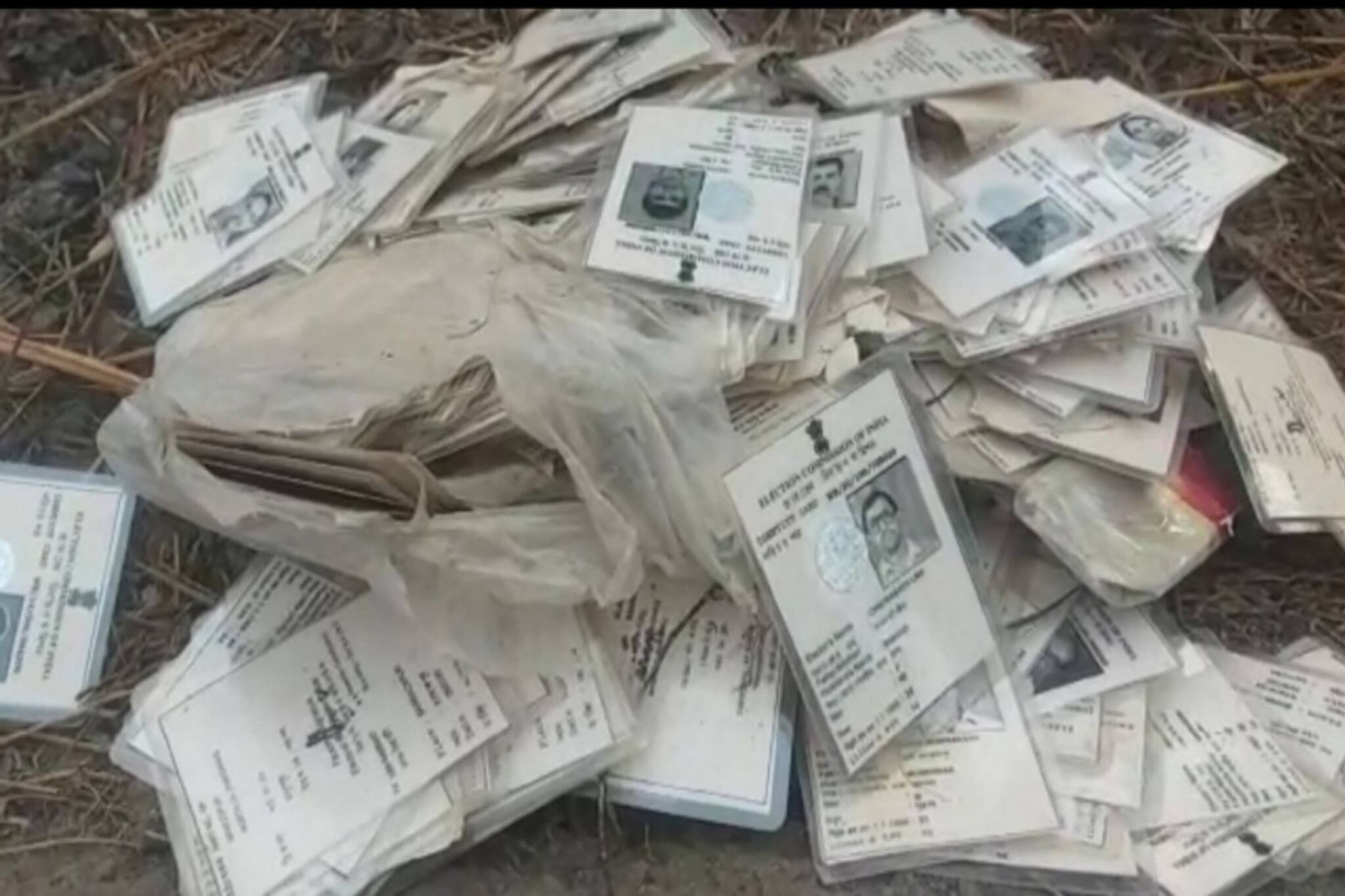 শয়ে শয়ে ভোটার কার্ড পড়ে রাস্তায়! ব্যাপারটা কী?