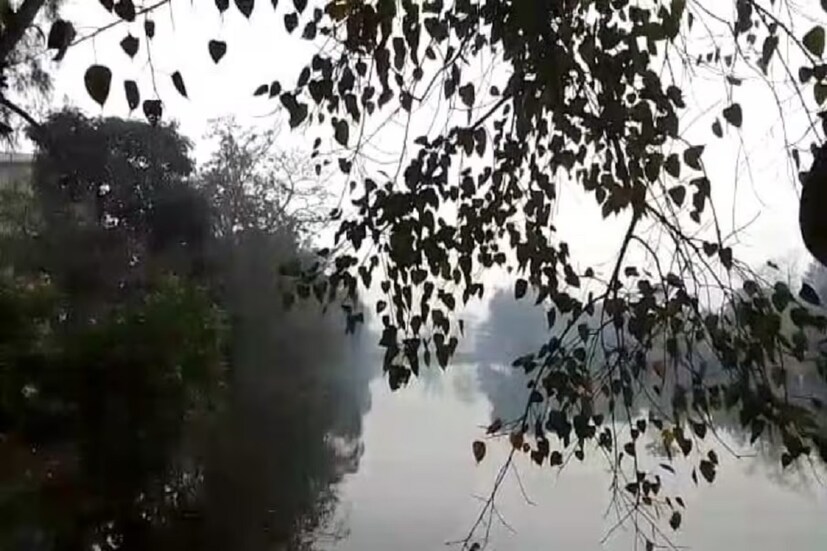 অবশেষে বিদায় নিয়েই নিল শীত। যাব যাব করেও যাওয়া হচ্ছিল না তার। বরং মাঝে ফের নিম্নমুখী হয় পারদ। তবে এ বার আর তেমন সম্ভাবনা নেই বলেই মনে করছেন আবহবিদরা। কারণ ফেব্রুয়ারির মাঝামাঝি সময়ই জ্বালা ধরাচ্ছে গরম। গত সোমবার এ যাবৎকালীন ফেব্রুয়ারির উষ্ণতম দিন ছিল।  তাই ফেব্রুয়ারি থেকেই গরম বাড়বে বলে মনে করছে হাওয়া অফিস।
