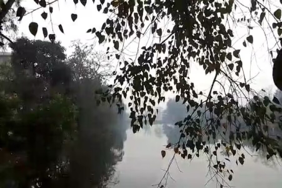  অবশেষে বিদায় নিয়েই নিল শীত। যাব যাব করেও যাওয়া হচ্ছিল না তার। বরং মাঝে ফের নিম্নমুখী হয় পারদ। তবে এ বার আর তেমন সম্ভাবনা নেই বলেই মনে করছেন আবহবিদরা। কারণ ফেব্রুয়ারির মাঝামাঝি সময়ই জ্বালা ধরাচ্ছে গরম। গত সোমবার এ যাবৎকালীন ফেব্রুয়ারির উষ্ণতম দিন ছিল। তাই ফেব্রুয়ারি থেকেই গরম বাড়বে বলে মনে করছে হাওয়া অফিস।