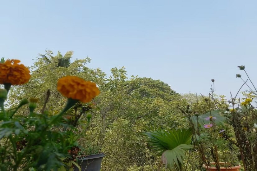 বঙ্গোপসাগরে নিম্নচাপ গভীর নিম্নচাপে পরিণত হয়েছে দক্ষিণ-পশ্চিম বঙ্গোপসাগর এলাকায়। দক্ষিণ-পশ্চিম বঙ্গোপসাগরে এটি গভীর নিম্নচাপের রূপ নিয়ে শ্রীলঙ্কা উপকূলের দিকে। গভীর নিম্নচাপ রূপে এটি ক্রমশ গতিপথ পরিবর্তন করে দক্ষিণ ও দক্ষিণ-পশ্চিম দিকে এগোবে। প্রতীকী ছবি।