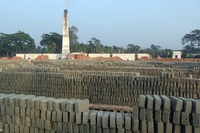 ইটভাটায় এ কী কাণ্ড!