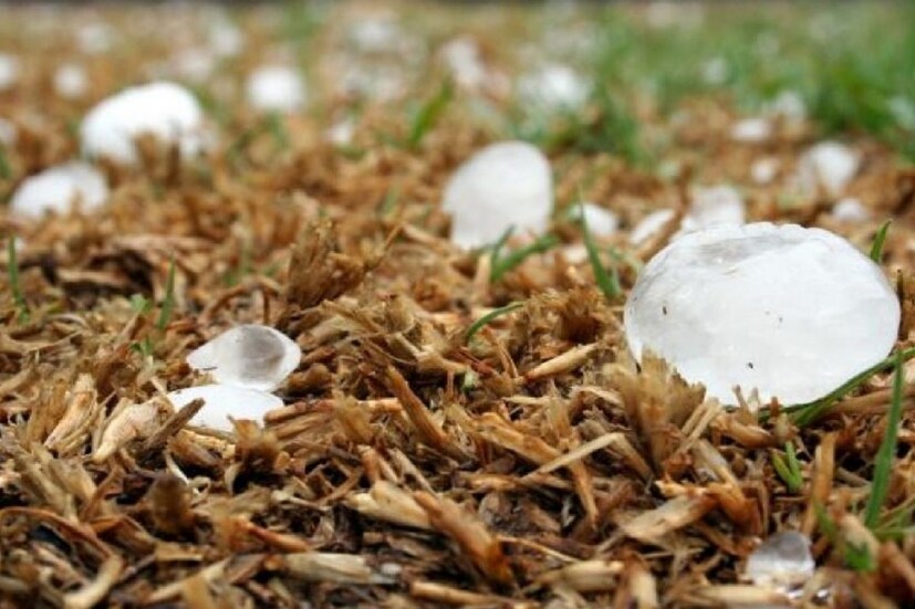 আইএমডি সতর্কতা- অনুযায়ী বিরাট বদল আসতে চলেছে আগামী পাঁচদিনের আবহাওয়ায়। আজকের আবহাওয়ার আপডেট বলছে পশ্চিমা বাতাসের প্রভাবে দেশে শীত বেড়েছে আবার একপ্রস্ত। অনেক এলাকায় ফের কাঁপছে হাড় কাঁপানো ঠান্ডা। কিন্তু তারপরেই ধীরে বদল হবে আবহাওয়ার।