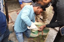বাজারের ব্যাগে নড়ছে ওটা কী! পাচারকারীকে ধরে ব্যাগ দেখতেই চোখ কপালে পুলিশের