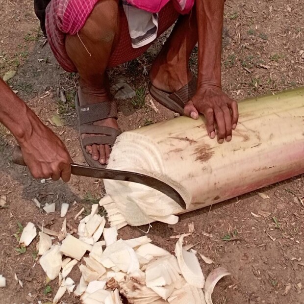 শুধুই তা নয়, সঙ্গে রয়েছে নানান উপকার। এই কলা গাছের থোড়ের রস শরীরের থেকে বিভিন্ন বিষাক্ত উপাদান দূর করতে সাহায্য করে। 