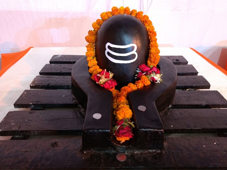  শিবলিঙ্গ- বাস্তুশাস্ত্র অনুসারে, ভগবান শিব বা শিবলিঙ্গকে ভুল করেও তুলসী গাছের আশপাশে রাখা উচিত নয়। ধর্মীয় বিশ্বাস অনুসারে, তুলসী ভগবান বিষ্ণুর প্রিয়। কিংবদন্তী অনুযায়ী, তুলসী তাঁর পূর্বজন্মে বৃন্দা নামে পরিচিত ছিলেন, যিনি জলন্ধর নামক এক অসুরের স্ত্রী ছিলেন, কিন্তু জলন্ধরের অত্যাচারে বিরক্ত হয়ে ভগবান শিব তাঁকে হত্যা করেছিলেন। এই কারণেই শিবের পূজায় তুলসী ব্যবহার করা হয় না।