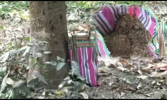 সামশেরগঞ্জে