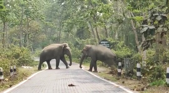 দুই