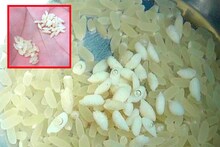 রেশনে দেওয়া হচ্ছে প্লাস্টিকের চাল! শারীরিক সমস্যায় জেরবার স্থানীয় বাসিন্দারা
