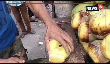 তালশাঁসের