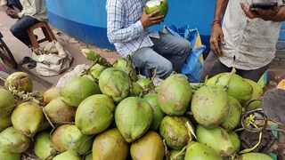 প্রায় প্রত্যেক জায়গায় বিক্রি হচ্ছে ডাবের জল প্রায় প্রত্যেক জায়গায় বিক্রি হচ্ছে ডাবের জল