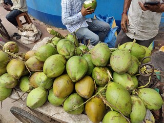 প্রায় প্রত্যেক জায়গায় বিক্রি হচ্ছে ডাবের জল 