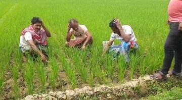 জল
