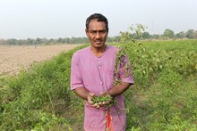 ঝড়বৃষ্টিতে বিশাল ক্ষতি লঙ্কা চাষে! লঙ্কা কিনতে ঘাম ছুটতে পারে! বাড়বে কী দাম?