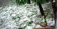 সাদা বরফে ঢাকল মেদিনীপুর! বৃষ্টির শুরুতেই চমৎকার!