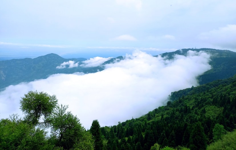  সোনাদা থেকে মাত্র সাত কিলোমিটার দূরত্ব। সবুজের সমারোহে পাহাড়ি সৌন্দর্য উপভোগ করতে চাইলে আপনার আদর্শ ডেস্টিনেশন চটকপুর। সোয়েটার, জ্যাকেট, বুট সঙ্গে রাখবেন। বর্ষার সময় প্ল্যান করলে রেনকোট মাস্ট। তবে বর্ষার সময়টা এড়িয়ে যাওয়াই ভাল। কারণ ধ্বসের সম্ভবনা থেকে যায়। ব্যাগে আইডি প্রুফ, অ্যাড্রেস প্রুফও রাখা চাই। (লেখা ও ছবি: অনির্বাণ রায়)