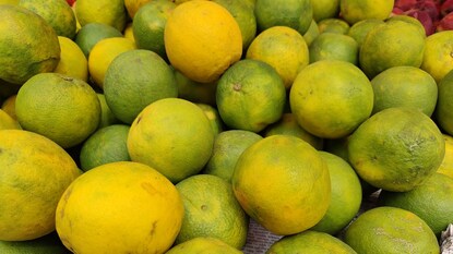 বাজারে প্রায় ফলের দোকানে পাওয়া যাবে এই লেবু বাজারে প্রায় ফলের দোকানে পাওয়া যাবে এই লেবু