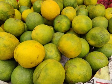 বাজারে প্রায় ফলের দোকানে পাওয়া যাবে এই লেবু 