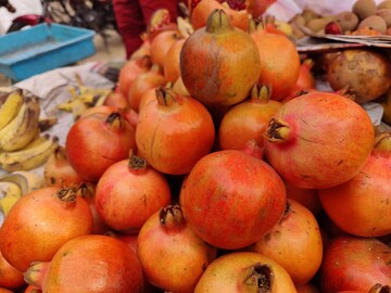 এতেই হতে পারে কয়েক সমস্যার সমাধান 
