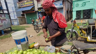 বাজার জুড়ে রমরমিয়ে চলছে পেয়ারা বিক্রি বাজার জুড়ে রমরমিয়ে চলছে পেয়ারা বিক্রি