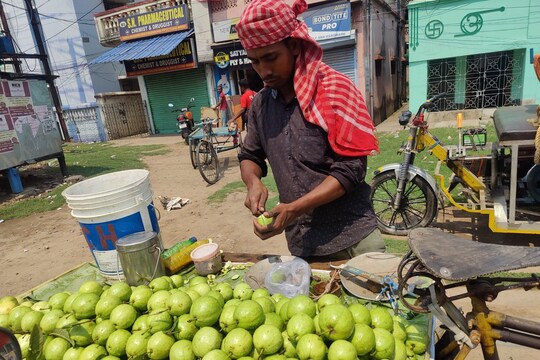 বাজার জুড়ে রমরমিয়ে চলছে পেয়ারা বিক্রি 