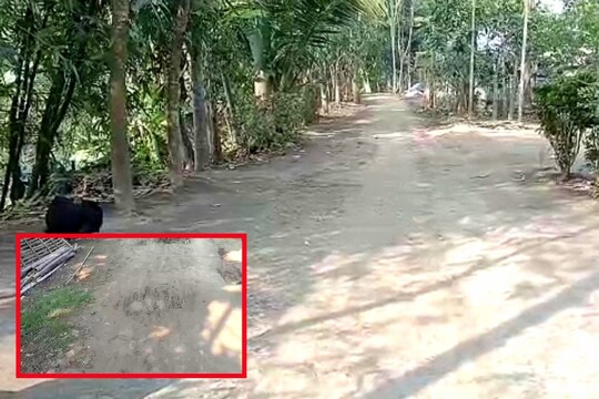 বেহাল