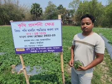  পলি