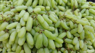 বাজারে এখন প্রায় ফলের দোকানে পাবেন এই ফল 