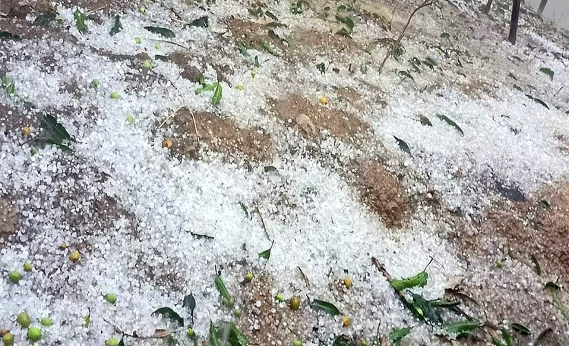 পশ্চিম মেদিনীপুরের মোহনপুরে বিভিন্ন এলাকায় শিলাবৃষ্টির প্রভাব লক্ষ্য করা যায়। শিলাবৃষ্টির পরিমাণ এতটাই ছিল যে, চারিদিক সাদা বরফের আস্তরণ পড়ে যায়।  মোহনপুরের বৈতা, মোহনপুর, মোহনপুর বাজার সহ বিভিন্ন এলাকায় এই শিলা বৃষ্টি লক্ষ্য করা যায়। শনিবার দুপুর থেকেই প্রায় ঘণ্টা খানেক ধরে চলে এই বৃষ্টি। (লেখা ও ছবি:   Ranjan Chanda)