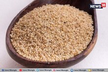 পোস্ত চাষের জন্য রাজ্যে চিহ্নিত প্রায় ১৬০টি খামার, ফের আবেদন যাবে কেন্দ্রের কাছে