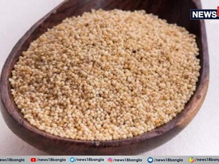 রাজ্যের উদ্যানপালন বিভাগ ইতিমধ্যেই পোস্তচাষের প্রস্তুতি নিতে শুরু করেছে।