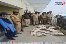 বন্যপ্রাণীর দেহাংশ পাচারের চেষ্টা রুখতে কড়া উত্তরপূর্ব সীমান্ত রেল, চলছে তল্লাশি