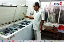 শহরের বুকে এল স্বাস্থ্যসম্মত আইসক্রিম, কীভাবে আসে এর সুস্বাদ? শুনলে অবাক হবেন