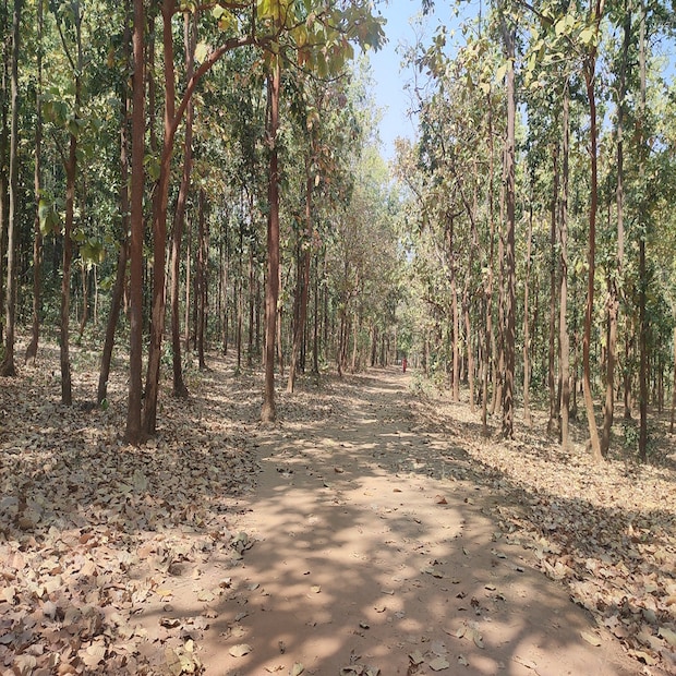 রাজ্যের অন্যান্য জেলাগুলির আবহাওয়া শুষ্কই থাকবে। আগামী কয়েক দিন রাতের দিকে তাপমাত্রার পারদ বেশি না থাকলেও দিনের তাপমাত্রা পারদ বেশ অনেকটাই বেশি থাকবে বলে জানা গিয়েছে আবহাওয়া দফতর সূত্রে।