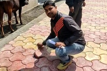 নিম্নমানের