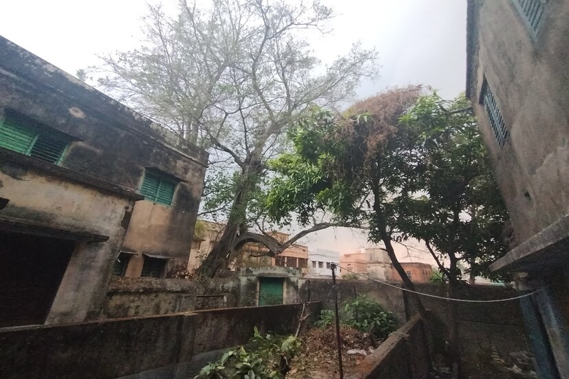 আকাশ মেঘলা থাকলেও বাঁকুড়ায় অতিবেগুনি রশ্মির পরিমাণ মাঝারি থেকে যাচ্ছে। আজ সারাদিন পশ্চিম থেকে পূর্বে ১২ কিলোমিটার প্রতি ঘণ্টা বেগে বাতাস বইবে। বাঁকুড়ার বায়ুতে আপক্ষিক আর্দ্রতার পরিমাণ ৬৬ শতাংশ এবং বায়ুর গুণগতমান ১১০ যা শরীরের পক্ষে ক্ষতিকর।