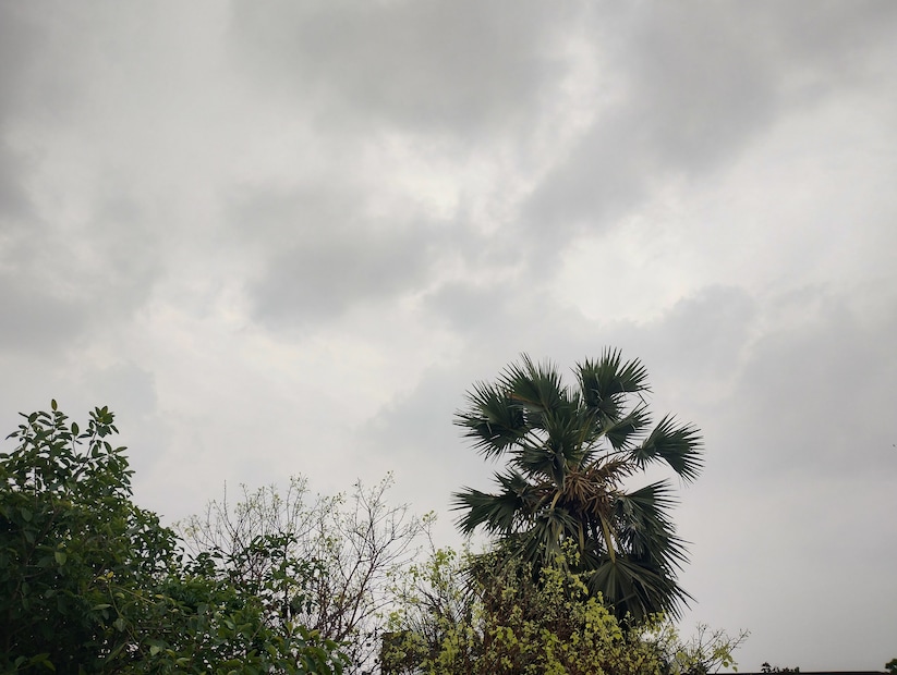 কালবৈশাখীর তাণ্ডবে নষ্ট হতে পারে আম। অর্ধেকের নিচে নেমে যেতে পারে সমগ্র জেলার আমের ফলন। ক্ষতিগ্রস্ত হতে পারে প্রান্তিক ক্ষুদ্র কৃষকরা। গত বছর রাজ্যে সর্বোচ্চ বৃষ্টিপাত হয় বাঁকুড়া জেলায়। এ বছরও শুরুর দিকে ট্র্যাক রেকর্ড ধরে রেখেছে জেলা বাঁকুড়া। Input-  Nilanjan Banerjee