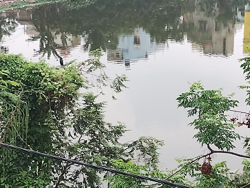 বৃষ্টিতে রেহাই পেয়েছে বাঁকুড়া। সিক্ত হয়েছে রুক্ষ সুক্ষ লাল মাটি। নতুন সাজে সেজে উঠেছে সমগ্র জেলা। কিন্তু কোন কিছুই অতিরিক্ত ভালো নয়। যদিও অতিবৃষ্টির পূর্বাভাস আপাতত নেই তবুও কালবৈশাখীর আশঙ্কা এড়ানো যাচ্ছে না।