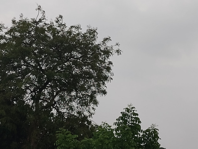 তার ওপর বৃষ্টিতে সিক্ত রাঢ় বাংলার রানীকে অপরূপ লাগছে। রবিবার অবশ্য খুব বেশি বৃষ্টি হয়নি বাঁকুড়াতে। বিকেলের দিকে সামান্য টিপটিপ করেই চলে বৃষ্টি। তবে ভোররাতে শুরু হয় বৃষ্টি।