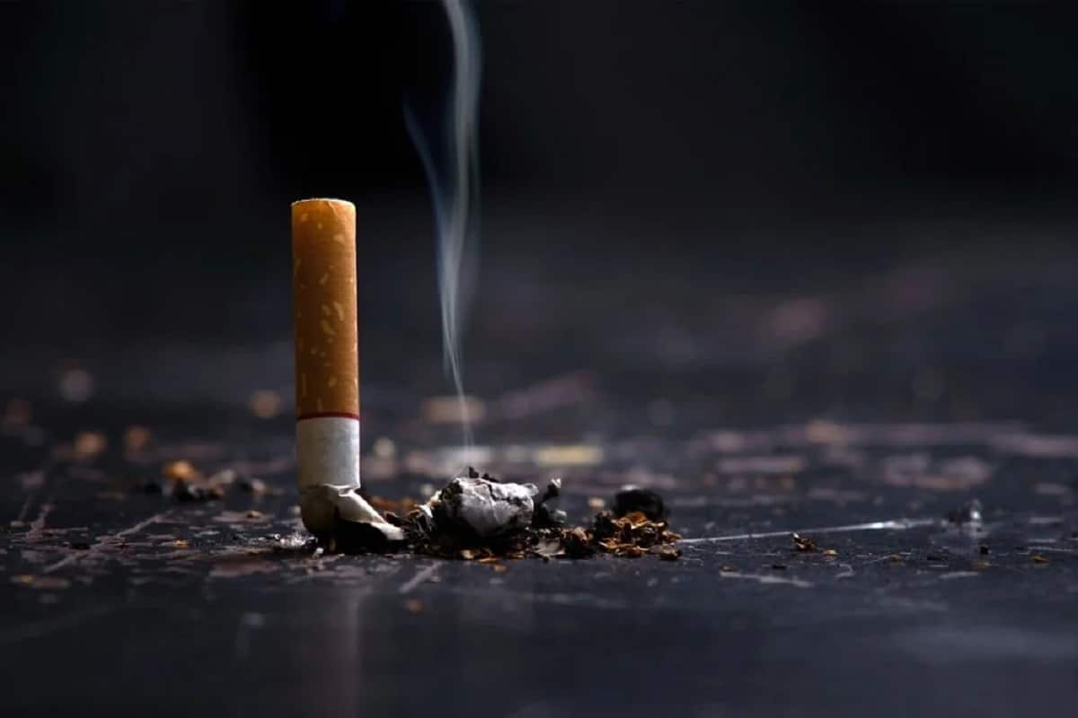 Cigarette: সিগারেটের বাংলা কী জানেন? ৯৯% বাঙালিই জানেন না! আপনি জানলে  চ্যাম্পিয়ন | লেটেস্ট পাঁচমিশালি খবর