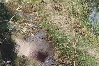 বাসন্তী হাইওয়ের পাশে দেহ উদ্ধার বাসন্তী হাইওয়ের পাশে দেহ উদ্ধার