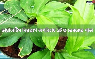 ভারত যেন ‘ডায়াবেটিসের রাজধানী’!সমস্যা নিয়ন্ত্রণে আনতে অপরিহার্য এই ৩ ভেষজের পাতা