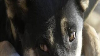 প্রতীকী ছবি। প্রতীকী ছবি।