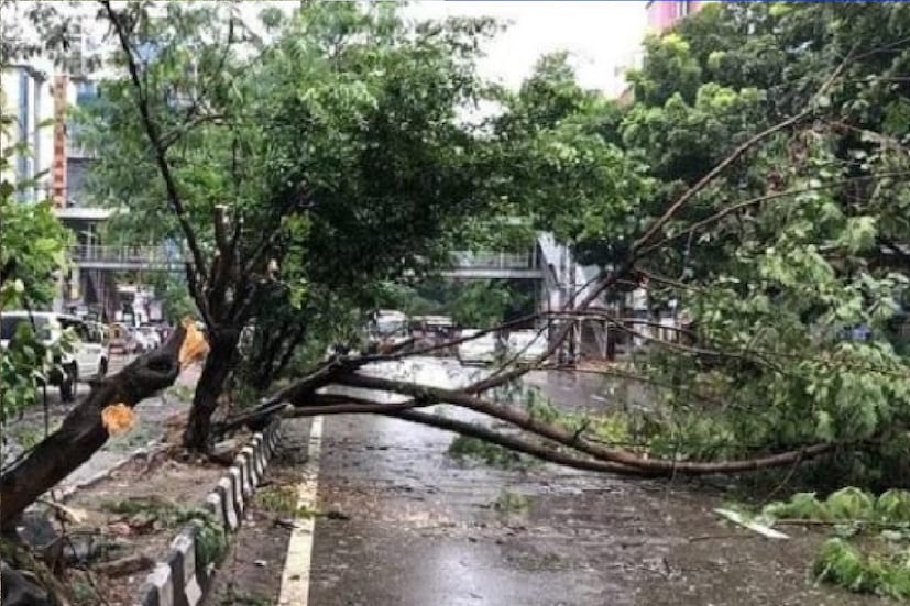 *আগামী ২৮ মার্চ পর্যন্ত বিদ্যুৎ দফতরের সমস্ত কর্মীদের সব রকমের ছুটি বাতিল করা হয়েছে। মন্ত্রী আরও জানান, দার্জিলিং, কালিম্পং, জলপাইগুড়ি, আলিপুরদুয়ার ও কোচবিহার জেলায় ১৫ মার্চ সন্ধ্যায় ঝড় ও শিলা বৃষ্টির কারণে বিদ্যুৎ সরবরাহ ব্যবস্থার ব্যাপক ক্ষতি হয়েছে। ফাইল ছবি। 