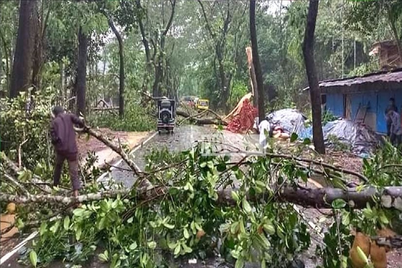 *বৈঠকে উপস্থিত ছিলেন বিদ্যুৎ দপ্তরের অতিরিক্ত মুখ্য সচিব শ্রী সুরেশ কুমার, পশ্চিমবঙ্গ রাজ্য বিদ্যুৎ বন্টন সংস্থার চেয়ারম্যান শ্রী শান্তনু বসু এবং বিদ্যুৎ দফতরের অন্যান্য উচ্চপদস্থ অধিকর্তারা। ফাইল ছবি। 