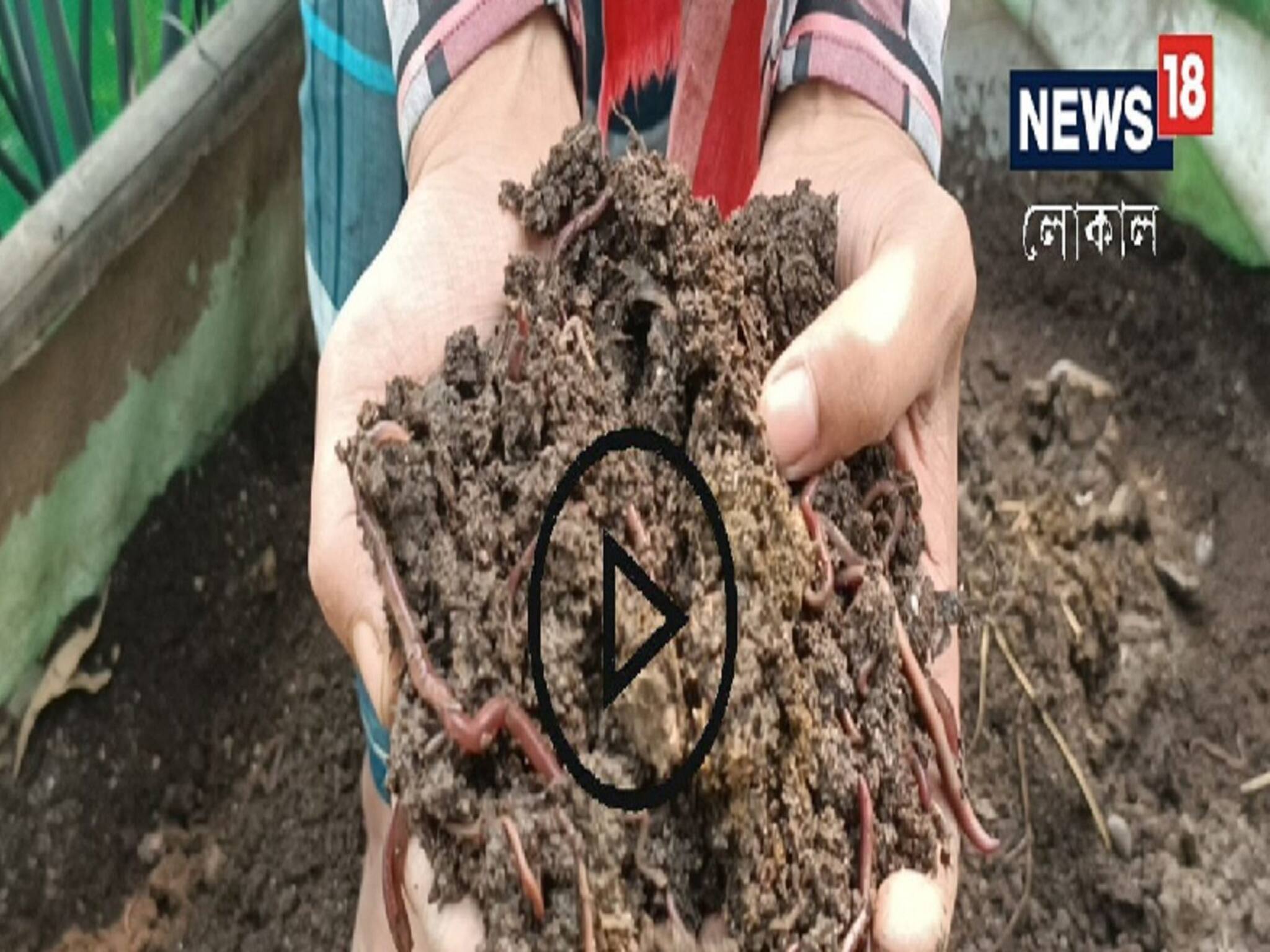 Organic Fertilizer: এই সার ব্যবহারের মাধ্যমে দ্বিগুণ মুনাফা সম্ভব! কীভাবে জেনে নিন
