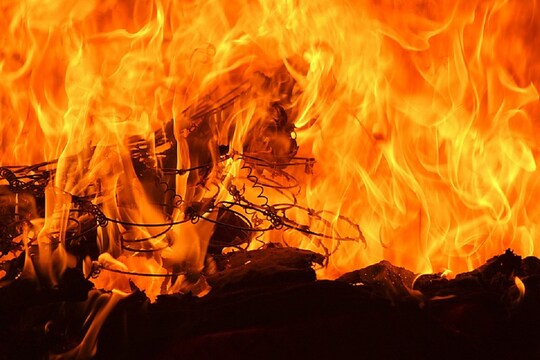 আবাসনে অগ্নিকাণ্ডে মৃত পোষ্যরা