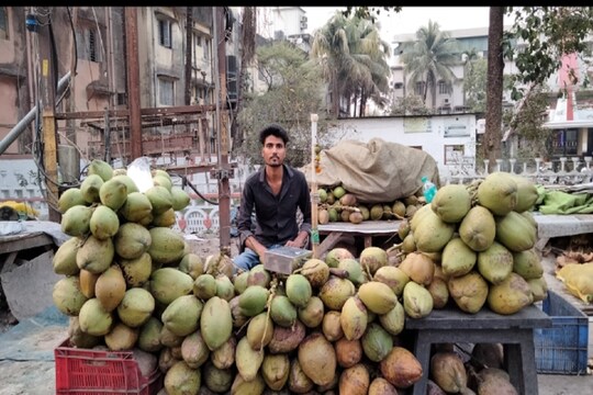 ডাবের